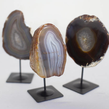 Rolled Agate on Black Metal Base